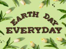 <strong>Custom Earth Day Stamps for Scrapbookers</strong>
